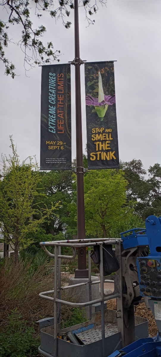 banners san antonio zoo