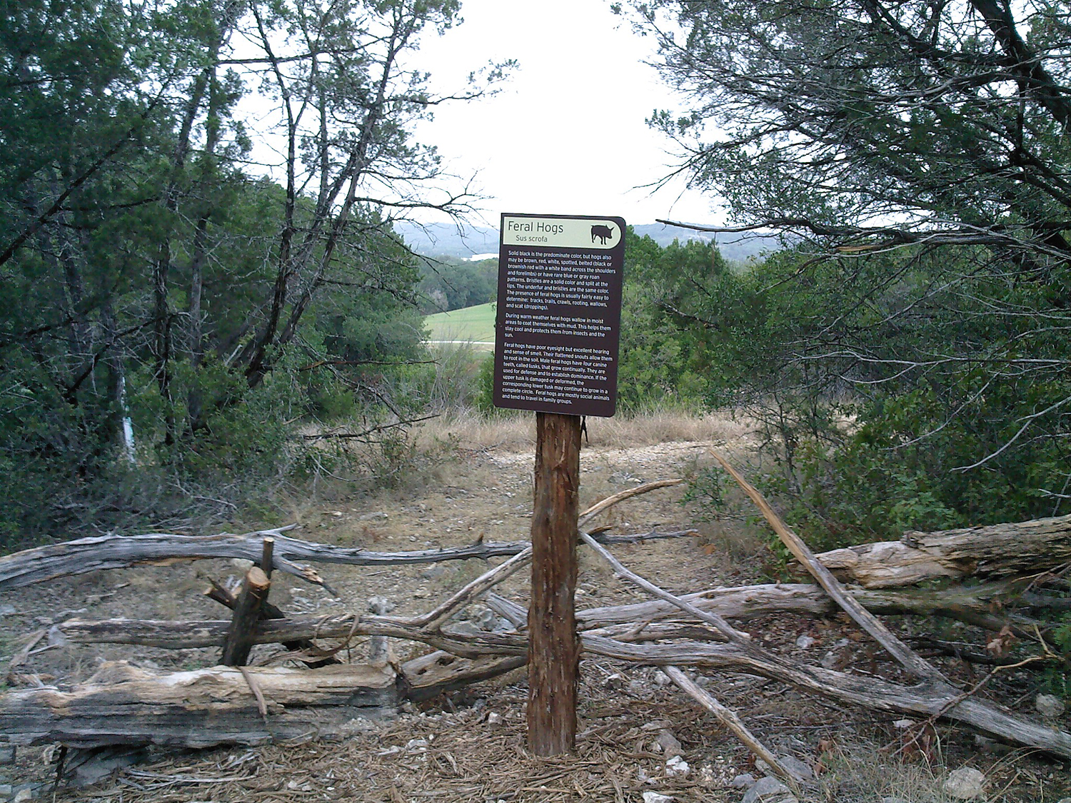 specialty-projects-cedar-posts-info-trail-sign