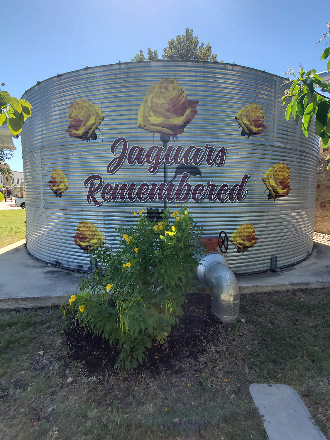 specialty-projects-jaguars-water-tank-roses
